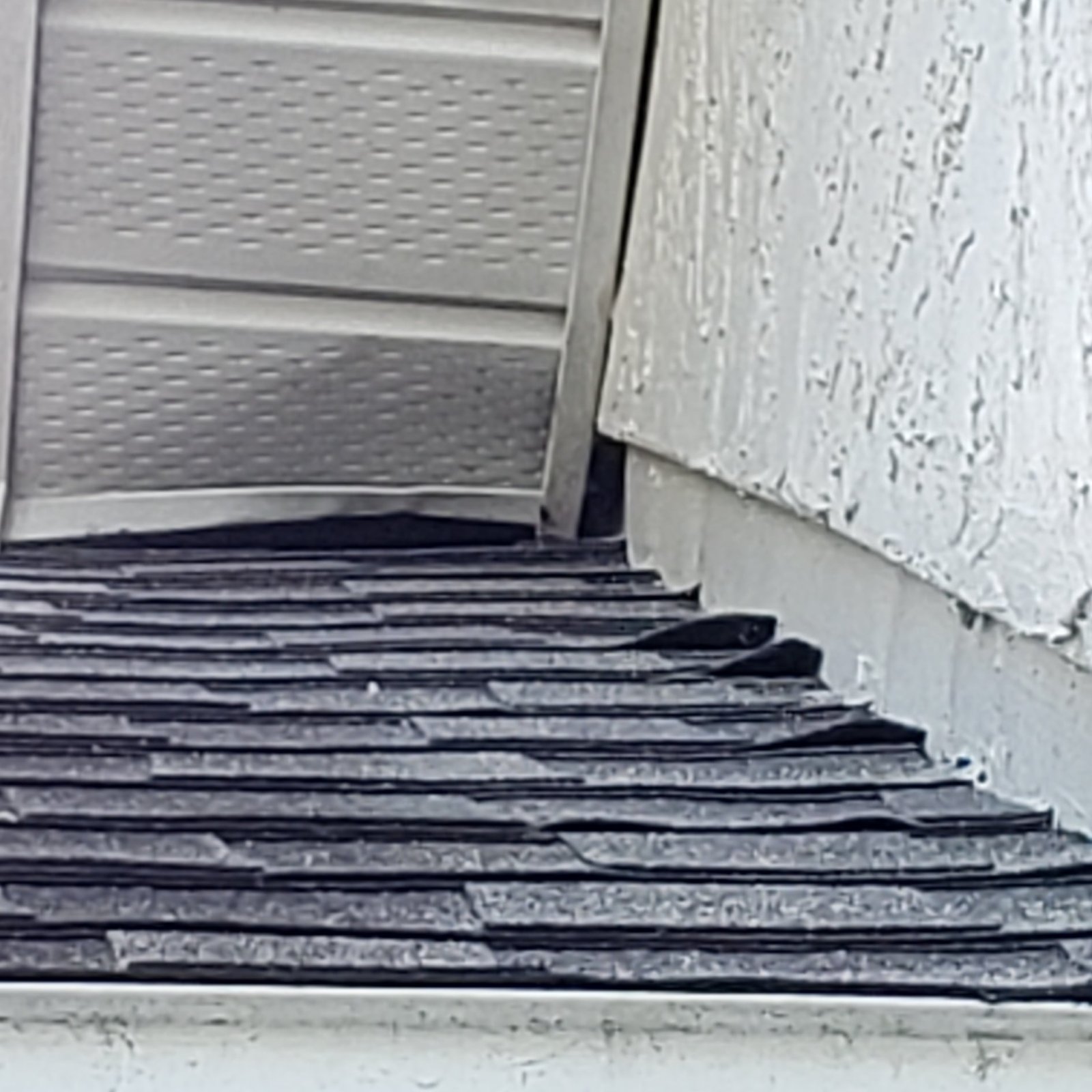 Animal Damage Repairs